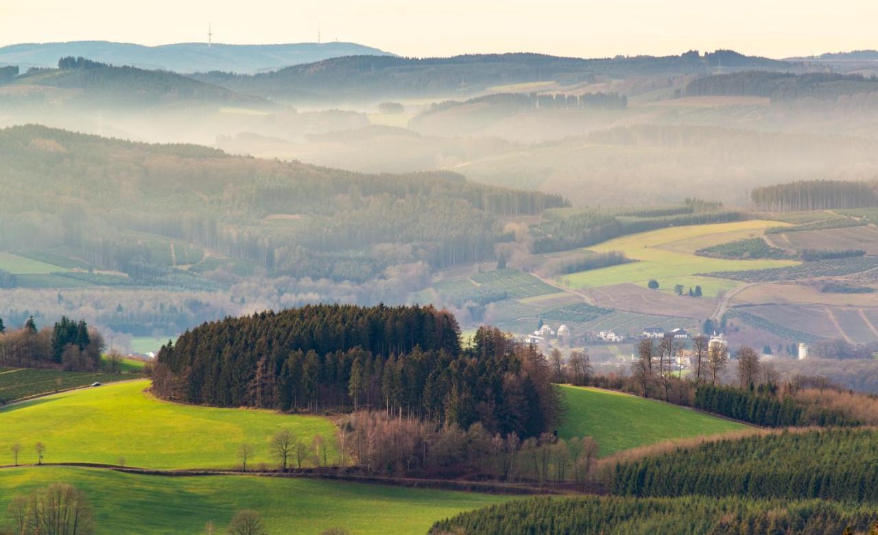 Ferienwohnung Suedhang Winterberg Dış mekan fotoğraf