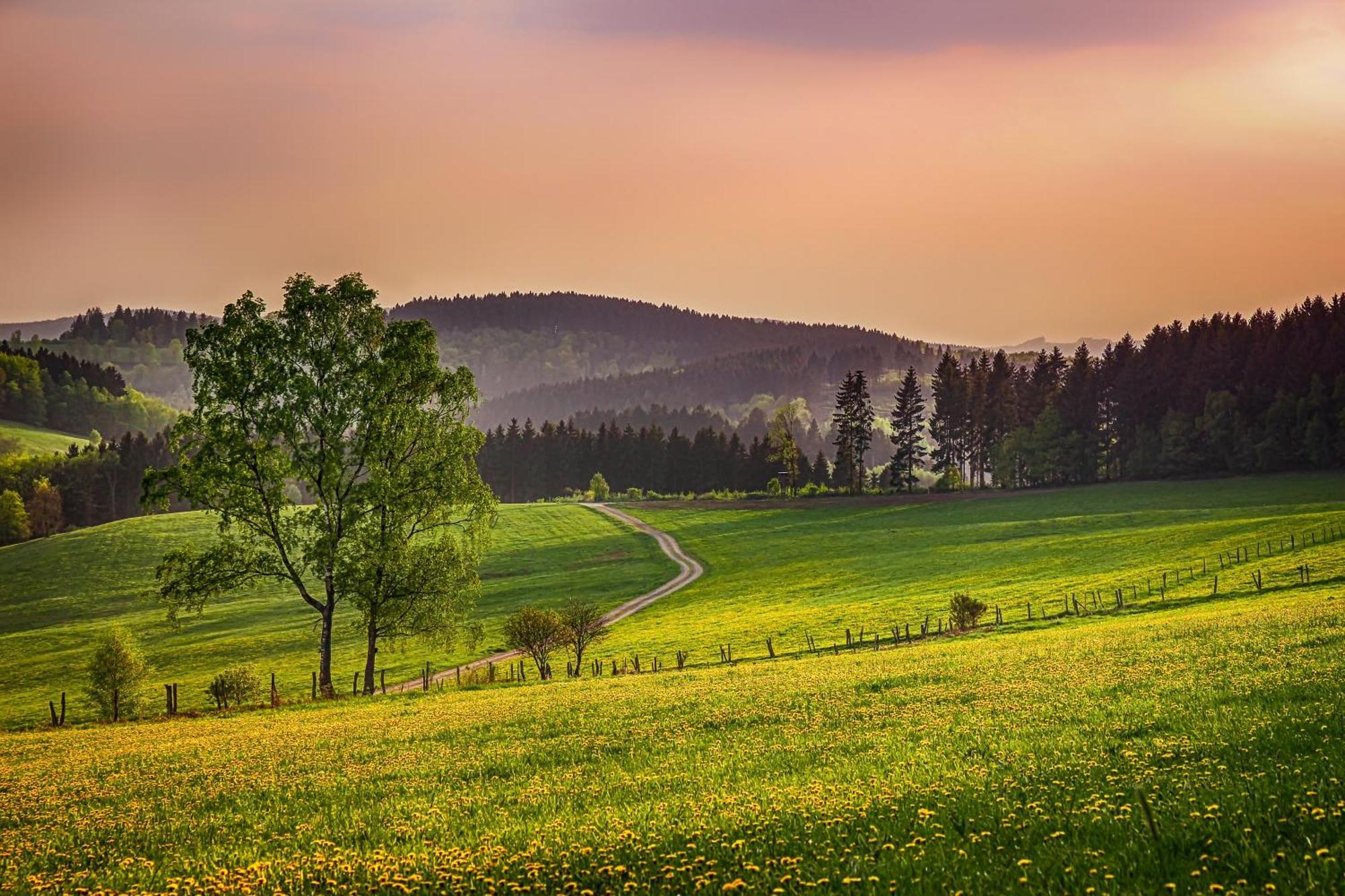Ferienwohnung Suedhang Winterberg Dış mekan fotoğraf